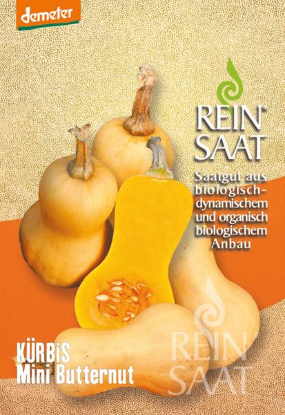 Vier Mini-Butternut-Kürbisse, einer davon aufgeschnitten, sitzen auf einer blassgelben Fläche. Der Text lautet: Reinsaat - Kürbis 'Mini Butternut', biologischer Anbau - ideal für die Single-Küche.