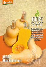 Lade das Bild in den Galerie-Viewer, ReinSaat - Kürbis &#39;Mini Butternut&#39;
