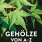 Nahaufnahme von grünen Ahornblättern. Das Buchcover zeigt "Gehölze von A-Z" aus dem Ulmer Verlag mit 1500 Bäumen und Sträuchern für die Gartengestaltung. Verfasst von Andreas Bärtels.