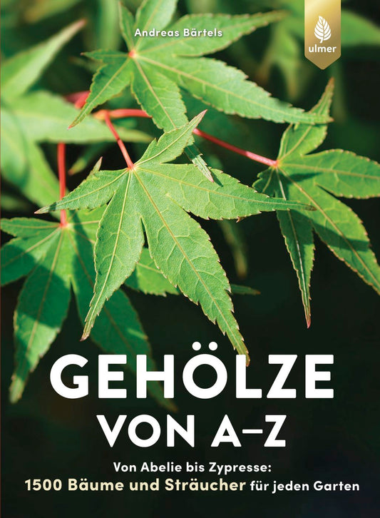Nahaufnahme von grünen Ahornblättern. Das Buchcover zeigt "Gehölze von A-Z" aus dem Ulmer Verlag mit 1500 Bäumen und Sträuchern für die Gartengestaltung. Verfasst von Andreas Bärtels.