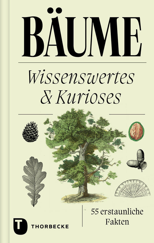 Das Buchcover „Bäume“ des Thorbecke Verlags zeigt Abbildungen von Baum, Blatt, Tannenzapfen, Eichel und Samen. Untertitel: „55 erstaunliche Fakten“. Enthält Fakten zu Sauerstoff und Tierarten. Das Verlagslogo erscheint unten links.
