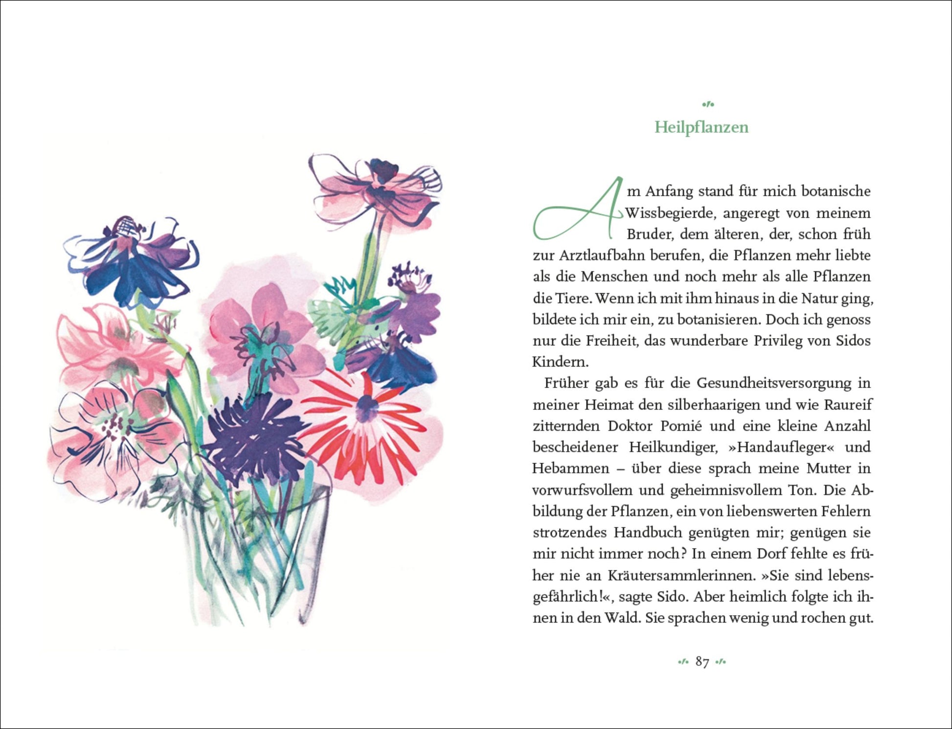 Ein leuchtendes Aquarell mit Wildblumen ziert die linke Seite von Colette - Mein Blumenalbum aus dem Insel Verlag; die rechte Seite zeigt den deutschen Text über Heilpflanzen mit grünem Titel und Akzenten in dieser schönen bibliophilen Ausgabe.