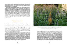 Lade das Bild in den Galerie-Viewer, Mein wunderbarer Cottage Garten - Isabelle Van Groeningen
