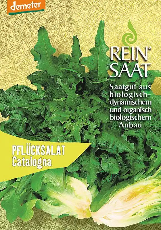 Reinsaat Pflücksalat „Catalogna“ Salatsamenpaket mit einem Bild von gezackten grünen Blättern; als biologisch und biodynamisch gekennzeichnet, geeignet für den Frühlingsanbau.