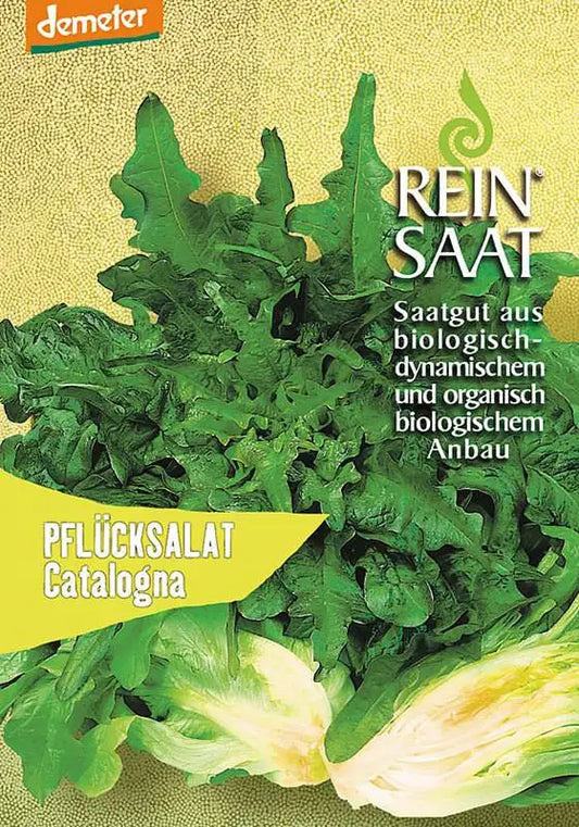 Reinsaat Pflücksalat „Catalogna“ Salatsamenpaket mit einem Bild von gezackten grünen Blättern; als biologisch und biodynamisch gekennzeichnet, geeignet für den Frühlingsanbau.