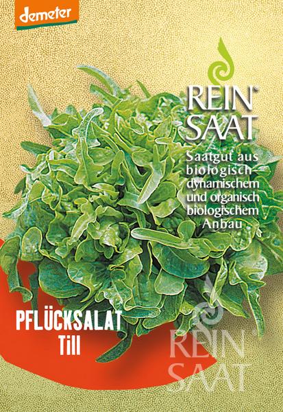 ReinSaat - Pflücksalat 'Till'