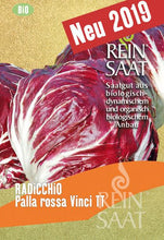 Lade das Bild in den Galerie-Viewer, ReinSaat - Radicchio &#39;Palla rossa Vinci TT&#39;
