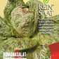 Ein Päckchen Reinsaatsamen für Romanasalat 'Forellenschluss' mit rot gesprenkelten Blättern. Die biologisch-dynamische Sorte zeichnet sich durch schossfeste Selektion aus und eignet sich ideal für frische Salate.