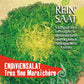 Samenpaket Reinsaat Endiviensalat 'Très fine Maraîchère' - lockere grüne Endivie, selbstblanchierend und frostbeständig. Ideal für den biologischen und biodynamischen Anbau mit Demeter-Zertifizierung.