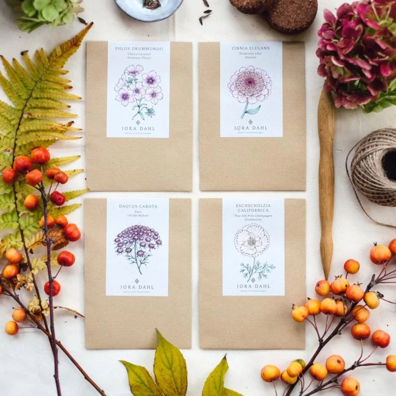 Vier Saatgutpäckchen von Jora Dahl | Daucus carota 'Dara' (Wilde Möhre) liegen auf einer weißen Fläche, umgeben von Herbstblättern, Beeren, Bindfaden, einem Holzstab und Hortensien.