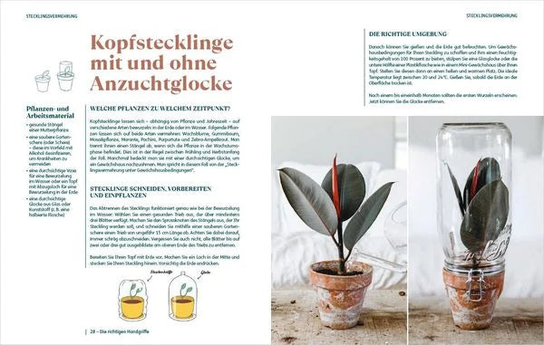Eine deutsche Magazinseite aus dem Buch "So einfach ist Pflanzenvermehrung" des Bassermann Verlags zeigt, wie man mit Stecklingen neue Pflanzen anbaut, mit einer illustrierten Anleitung und einer kleinen Topfpflanze, die von einem umgedrehten Glasgefäß bedeckt ist.