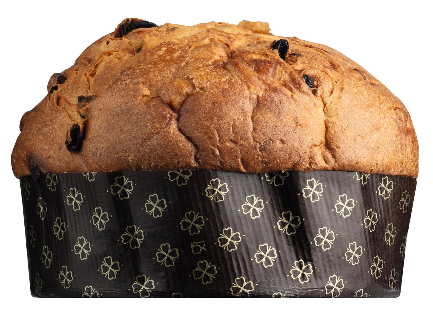 Ein goldbrauner Panettone Classico - der italienische Klassiker von Olivieri, mit gewölbter Oberseite und Rosinen, eingewickelt in eine schwarze Papierform mit goldenen Blumenmustern, wird vor einem weißen Hintergrund präsentiert.