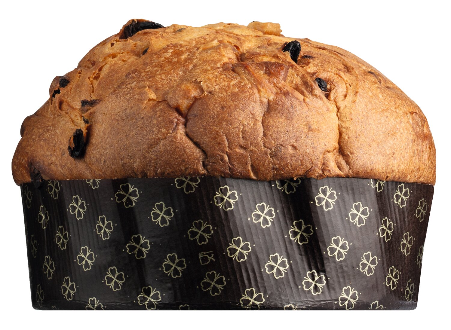 Ein goldbrauner Panettone Classico - der italienische Klassiker von Olivieri, mit gewölbter Oberseite und Rosinen, eingewickelt in eine schwarze Papierform mit goldenen Blumenmustern, wird vor einem weißen Hintergrund präsentiert.