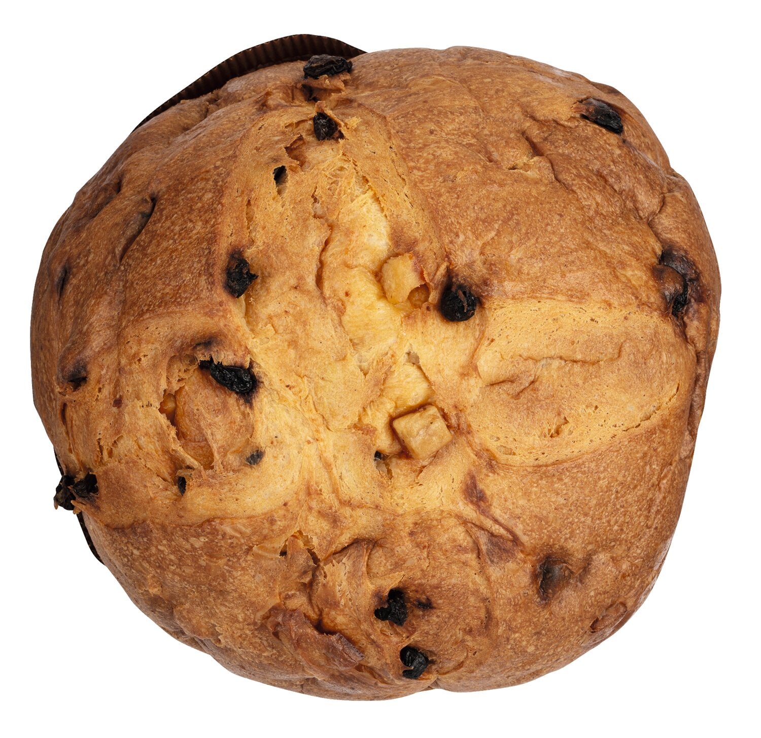 Ein runder Olivieri Panettone Classico, der italienische Klassiker, mit goldbrauner Kruste und sichtbaren dunklen Rosinen, von oben auf weißem Hintergrund fotografiert.