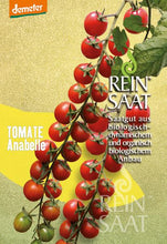 Lade das Bild in den Galerie-Viewer, ReinSaat - Tomate &#39;Anabelle&#39;
