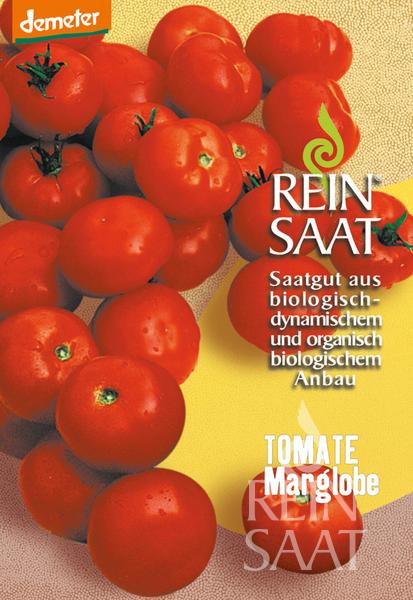 Auf gelb-weißem Hintergrund ist eine Traube reifer, roter ReinSaat-Tomate 'Marglobe' abgebildet. Text lautet: Reinsaat Saatgut aus biologischem Anbau – Tomate 'Marglobe', eine widerstandsfähige, ertragreiche Sorte.