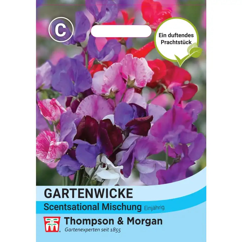 Eine Saatgutpackung mit der Aufschrift Thompson & Morgan | Gartenwicke 'Scentsational Mischung' von Thompson und Morgan zeigt rosa, violette, rote und weiße Blüten, den Text Hitzebeständige Blüten" auf Deutsch und das Firmenlogo.