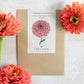 Ein Samenpaket mit der Aufschrift „Jora Dahl – Zinnia elegans ‚Benary‘s Giant Salmon Rose‘ (Zinnie)“ zeigt eine detaillierte Abbildung lachsfarbener Blüten, umgeben von echten Zinnien – ideal als Schnittblume für farbenfrohe Arrangements.