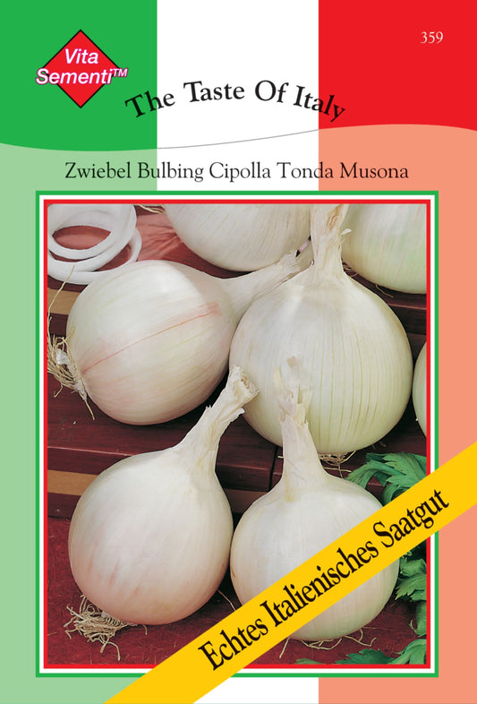 Zwiebel 'Bulbing Cipolla Tonda Musona'