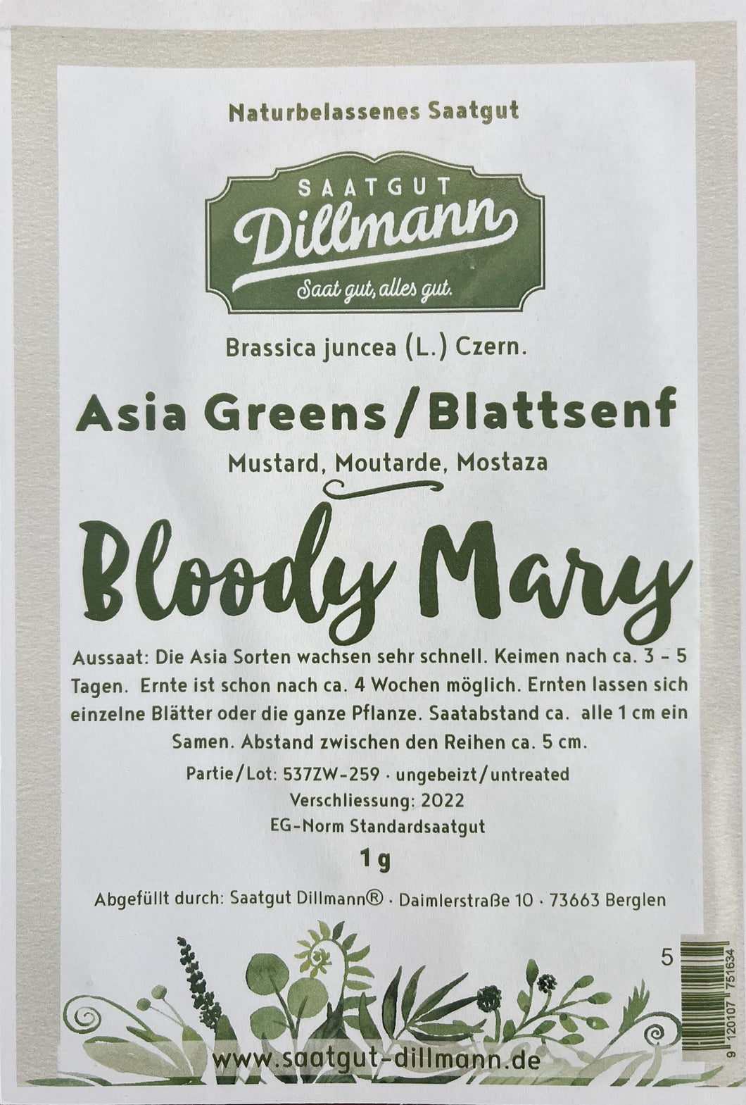 Asia Greens Blattsenf Bloody Mary
