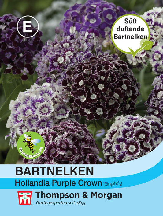 Samenpackung für Bartnelken Purple Crown von Thompson und Morgan mit violetten und weißen Bartnelkenblüten. Deutsche Etiketten heben ihren süßen Duft, ihre Bienenfreundlichkeit und ihre einfache Pflege hervor. Das Markenlogo befindet sich unten.