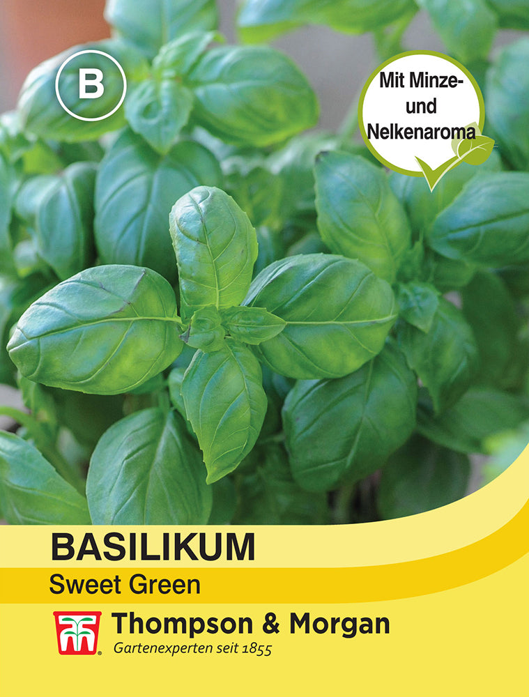 Basilikum Sweet Green - Königliche Gartenakademie