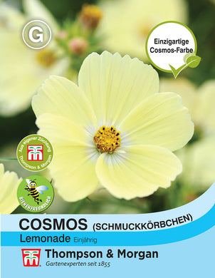 Cosmos (Schmuckkörbchen) Lemonade - Königliche Gartenakademie