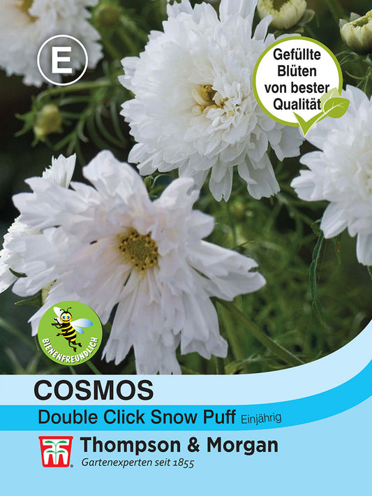 Cosmos (Schmuckkörbchen) Double Click Snow Puff - Königliche Gartenakademie