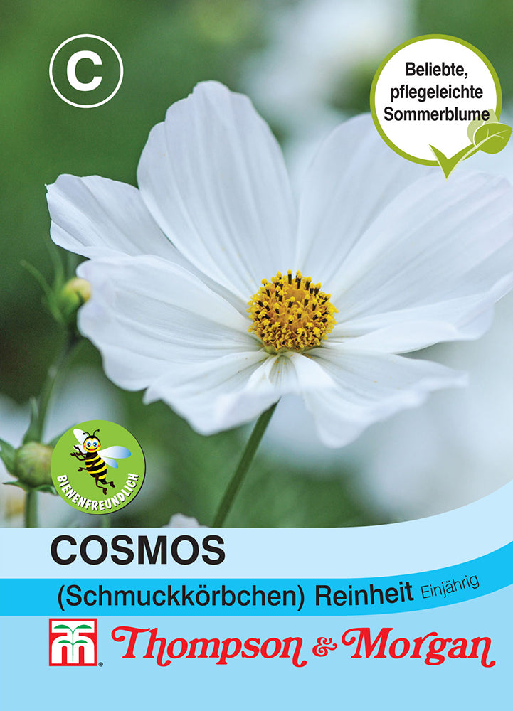 Cosmos (Schmuckkörbchen) Purity Reinheit - Königliche Gartenakademie