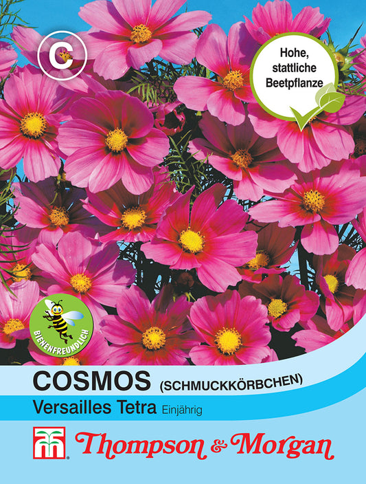 Cosmos (Schmuckkörbchen) Versailles Tetra - Königliche Gartenakademie