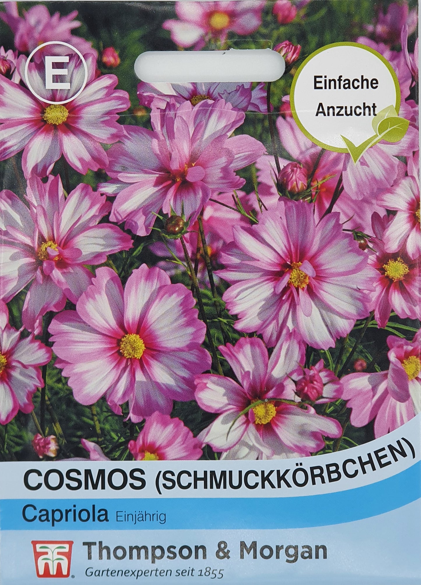 Cosmos (Schmuckkörbchen) Capriola - Königliche Gartenakademie