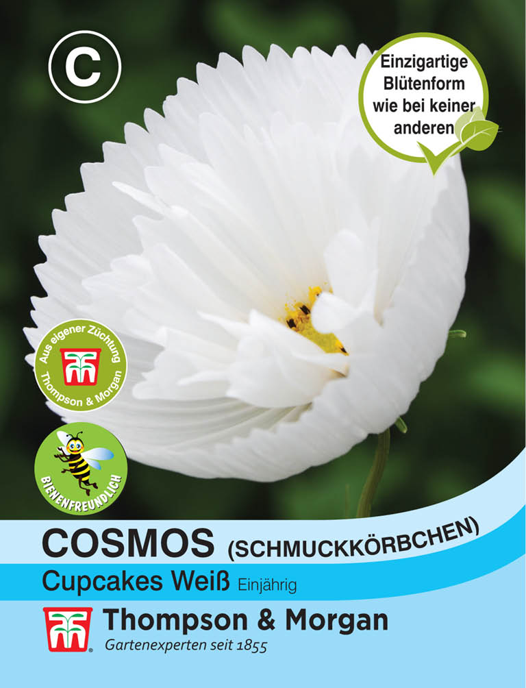 Schmuckkörbchen Cupcake Weiß (Cosmos) - Königliche Gartenakademie