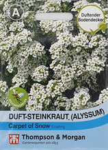 Lade das Bild in den Galerie-Viewer, Duftsteinkraut (Alyssum) Carpet of Snow - Königliche Gartenakademie
