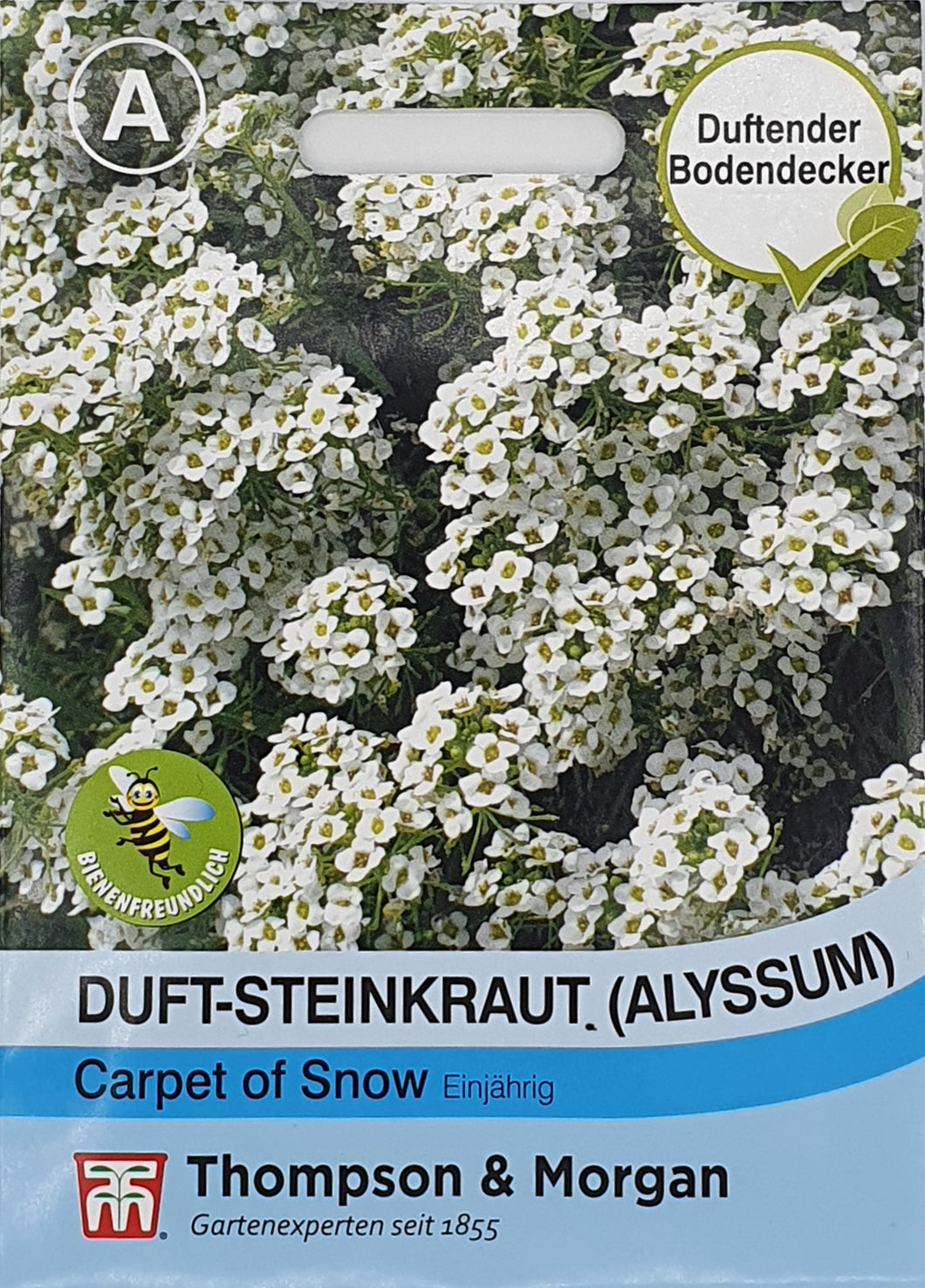 Duftsteinkraut (Alyssum) Carpet of Snow - Königliche Gartenakademie