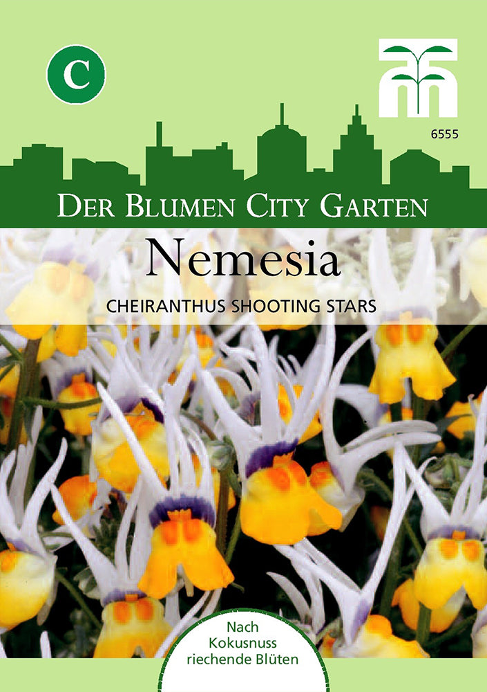 Elfenspiegel (Nemesia) Shooting Stars