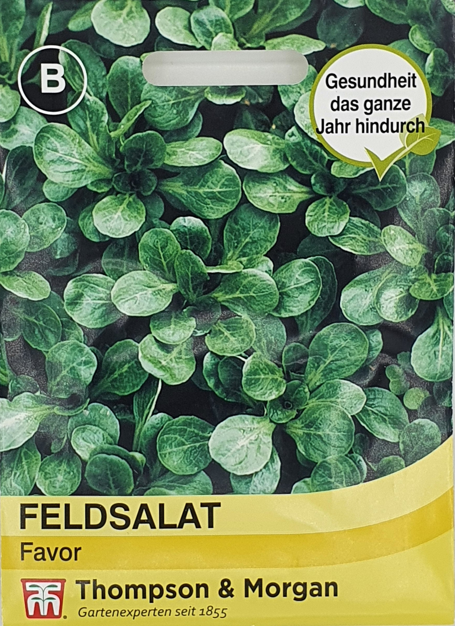 Feldsalat Favor - Königliche Gartenakademie