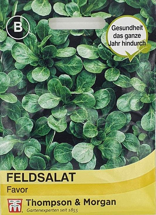 Feldsalat Favor - Königliche Gartenakademie