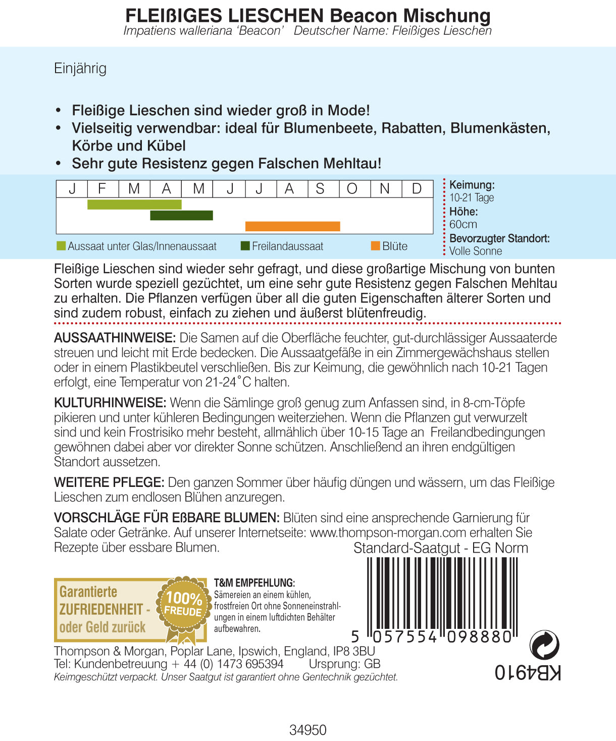 Fleissiges Lieschen Beacon Mischung NEU - Königliche Gartenakademie