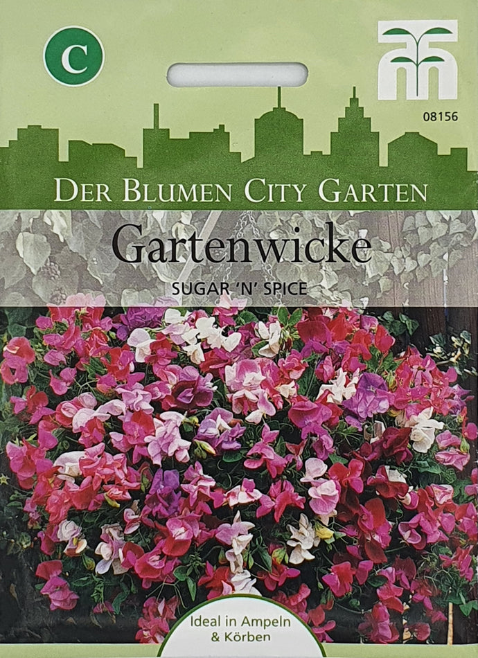 Gartenwicke Sugar 'n' Spice