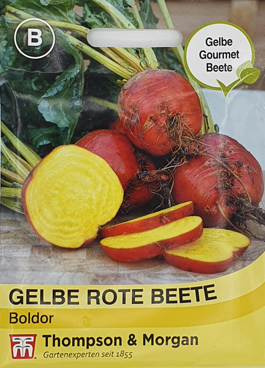 Gelbe Rote Beete Boldor - Königliche Gartenakademie