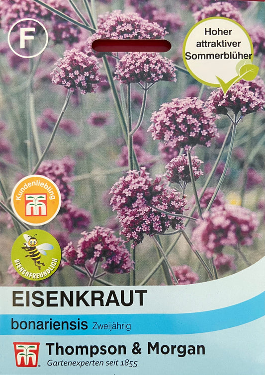 Eisenkraut bonariensis - Königliche Gartenakademie