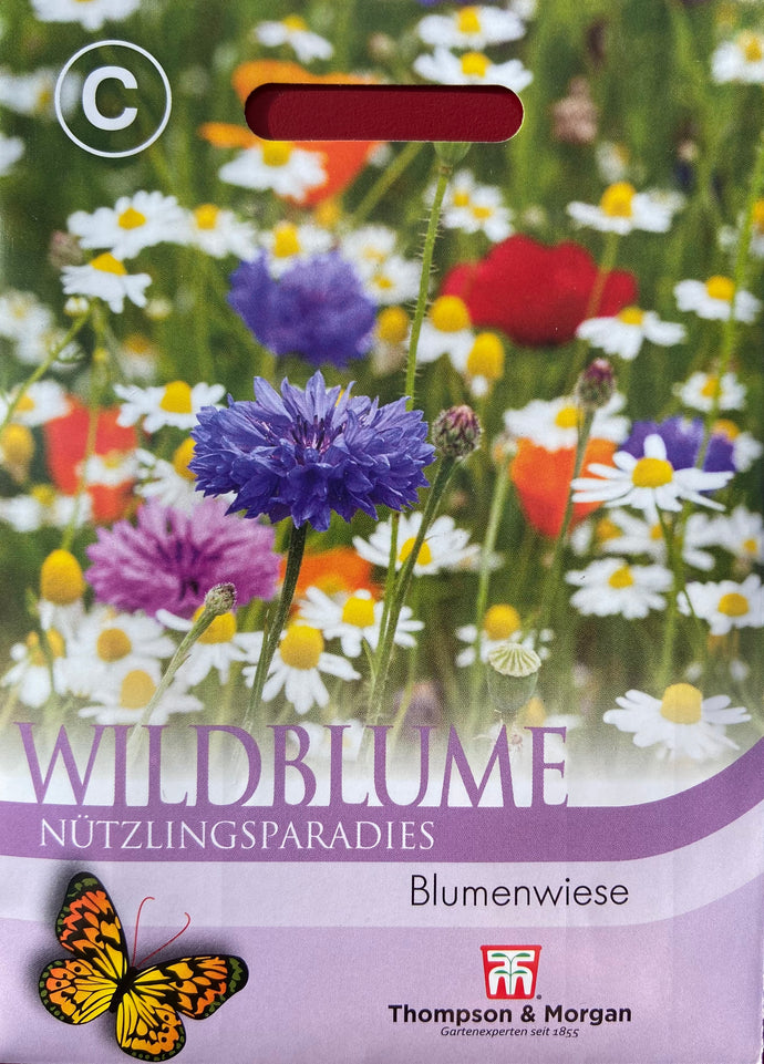 Wildblume Nützlingsparadies - Königliche Gartenakademie