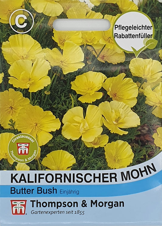 Kalifornischer Mohn Butter Bush - Königliche Gartenakademie