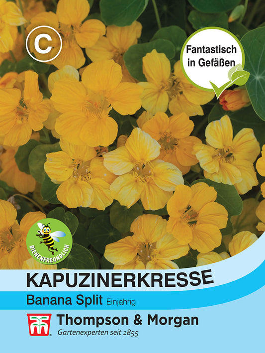 Kapuzinerkresse Banana Split - Königliche Gartenakademie