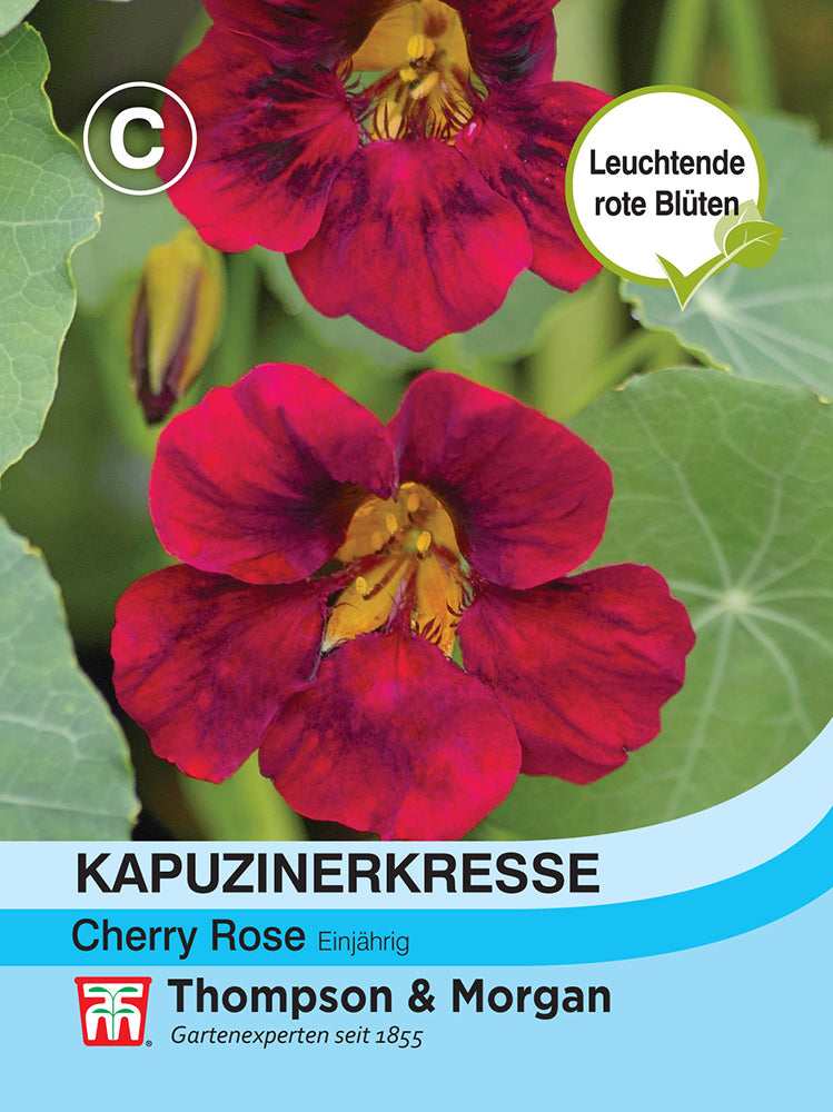 Kapuzinerkresse Cherry Rose Jewel - Königliche Gartenakademie