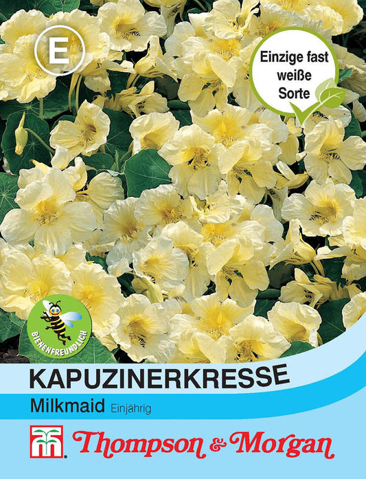 Kapuzinerkresse Milkmaid - Königliche Gartenakademie