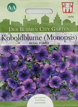 Lade das Bild in den Galerie-Viewer, Koboldblume (Monopsis) Regal Purple

