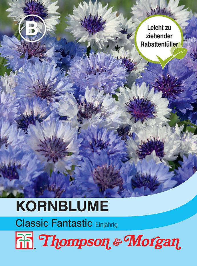 Kornblume Flockenblume Classic Fantastic - Königliche Gartenakademie