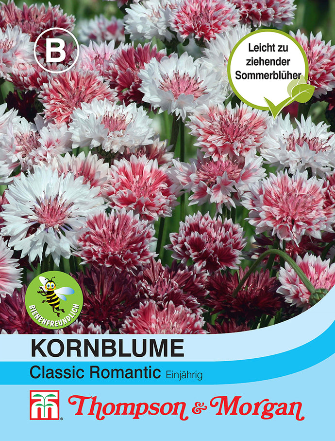 Kornblume Flockenblume Classic Romantic - Königliche Gartenakademie