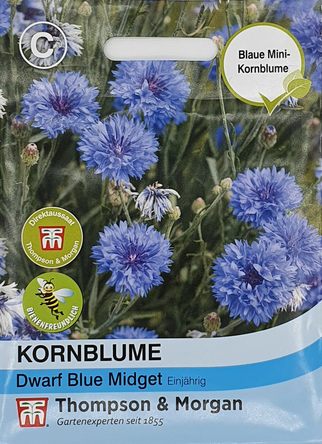 Kornblume Dwarf Blue Midget - Königliche Gartenakademie